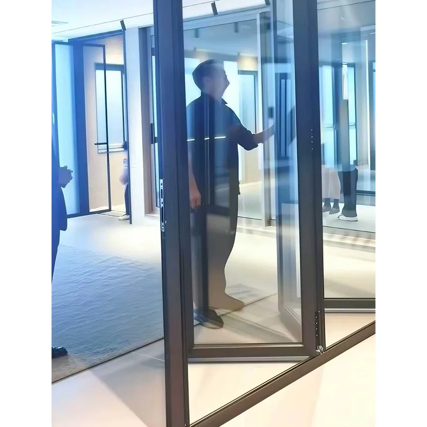 Electric Lift And Slide Aluminum Door